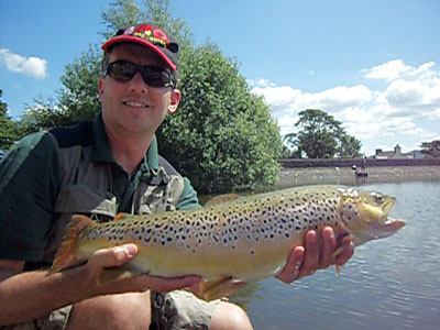 Bird sanctuary tree line, Arnfield Fly Fishery
